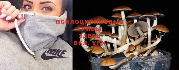 ECSTASY Белоозёрский