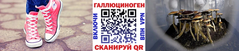 Галлюциногенные грибы мухоморы Онега
